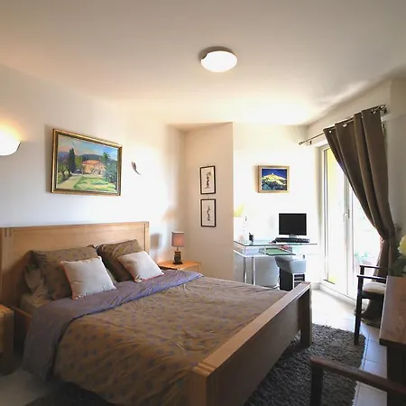 Deux Chambres Avec Piscine - Roi Albert Ier * Cannes